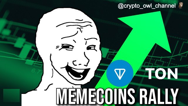 crypto owl