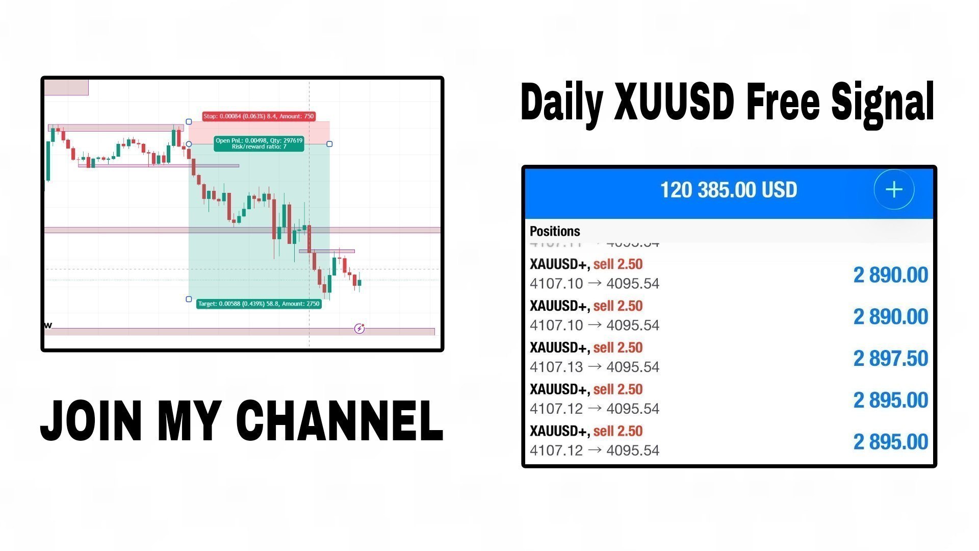 THE_TRADING_ZONE.forex