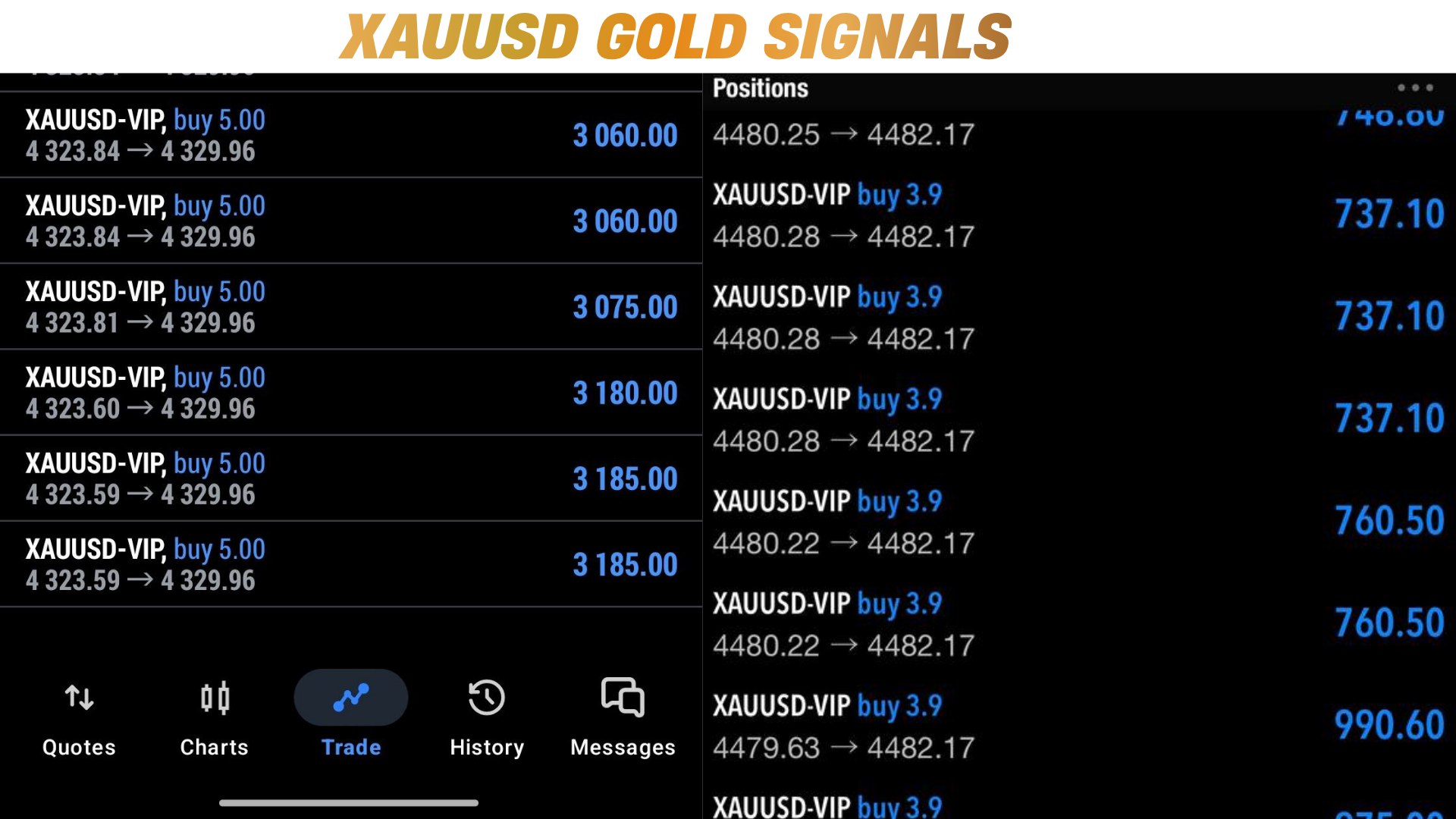 Gold Signal Floor