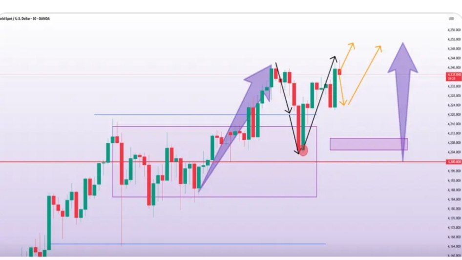 FOREX GOLD SIGNAL 👑