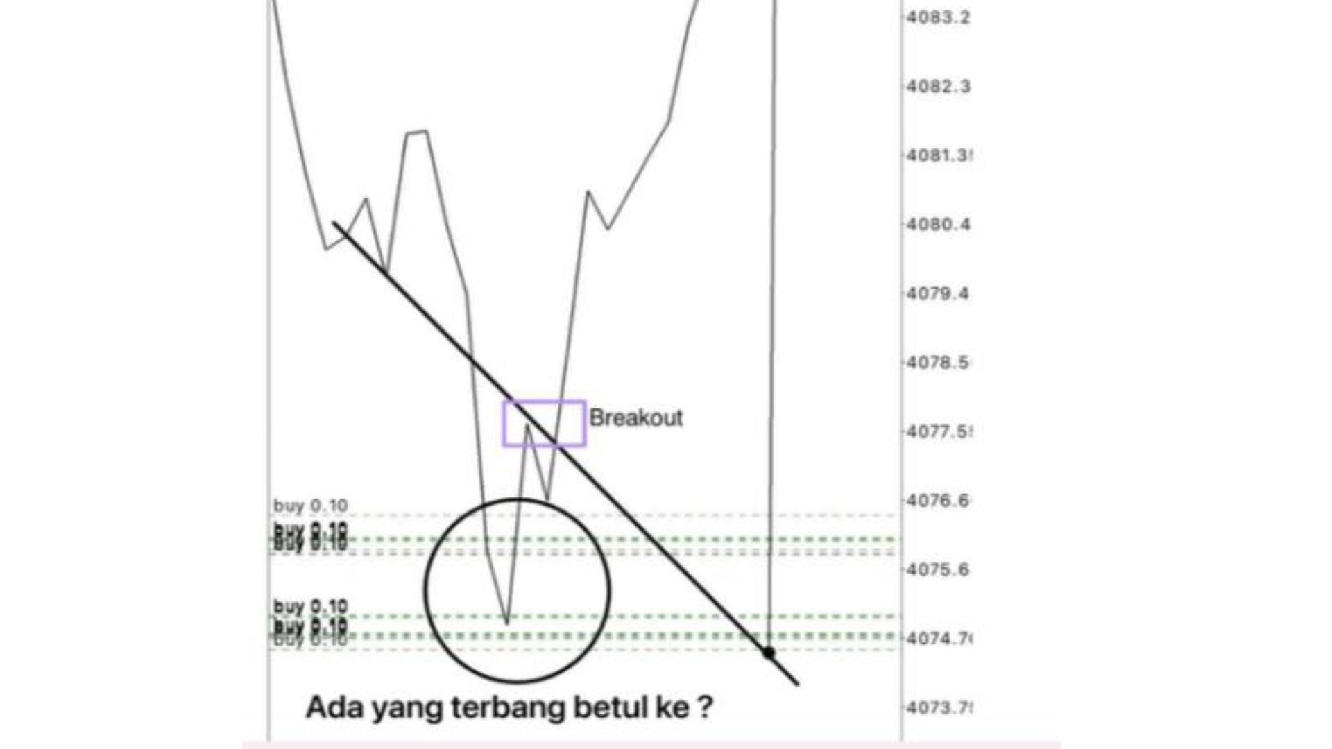 Along Gold Scalper