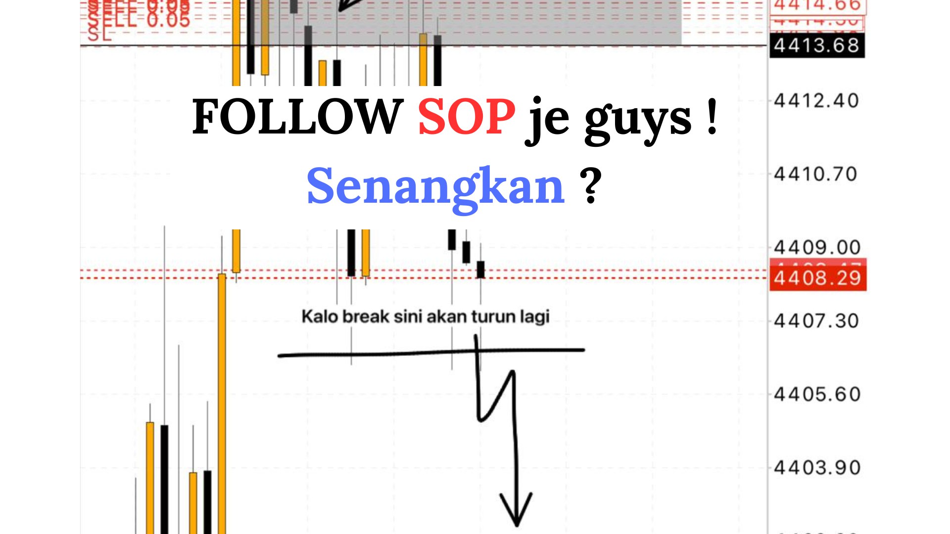 Along Gold Scalper