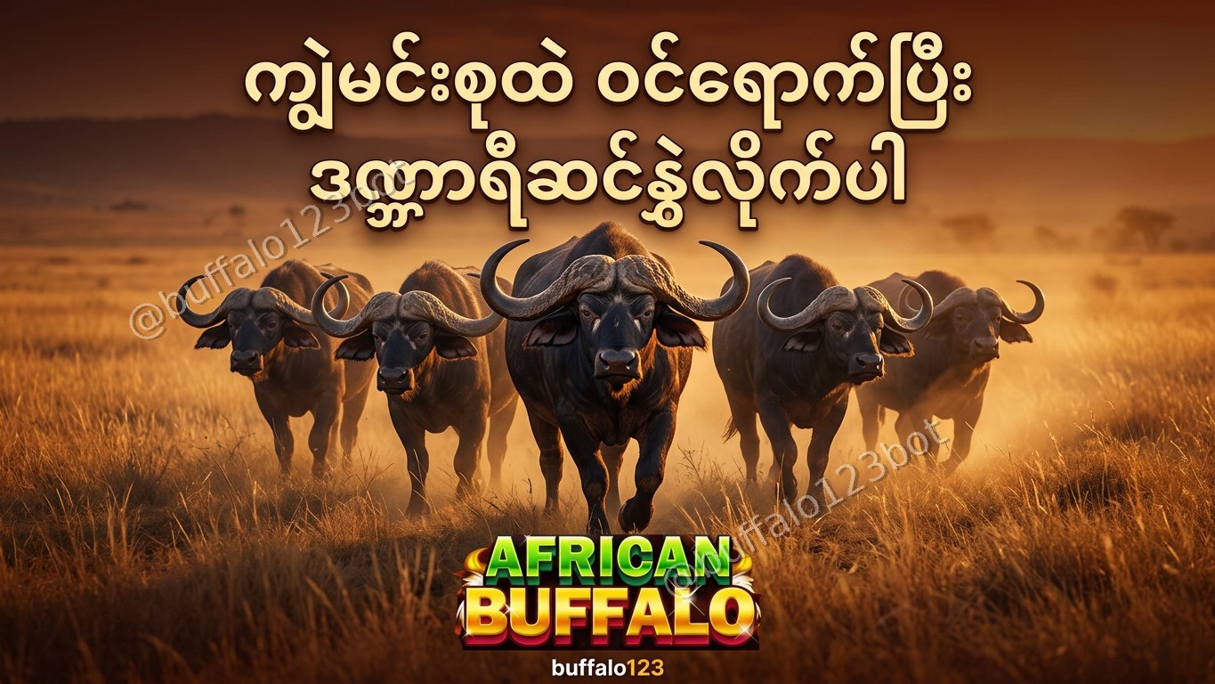 ကျွဲဂိမ်း Buffalo123 Official