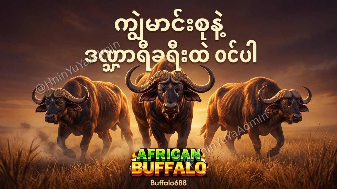 ကျွဲဂိမ်းအစစ် Buffalo688 ၊ကျွဲဘုရင် ၊ရှမ်းကိုးမီး၊ဘူကြီး
