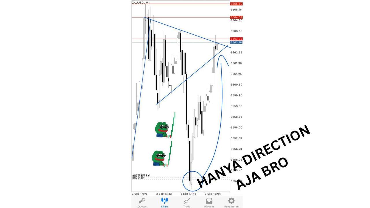 ARSHA CAPITAL