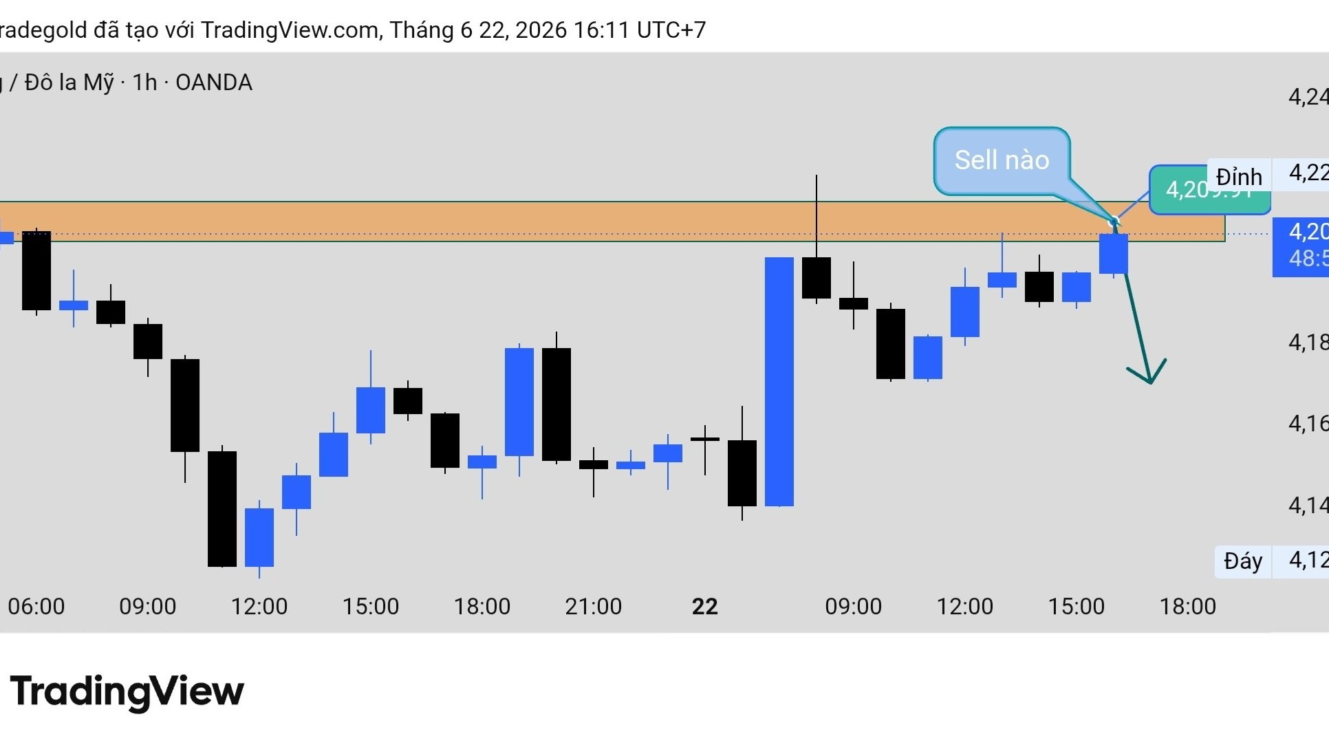 ALY TRADE GOLD