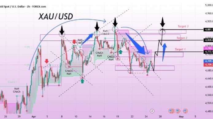 Gold Insight hub