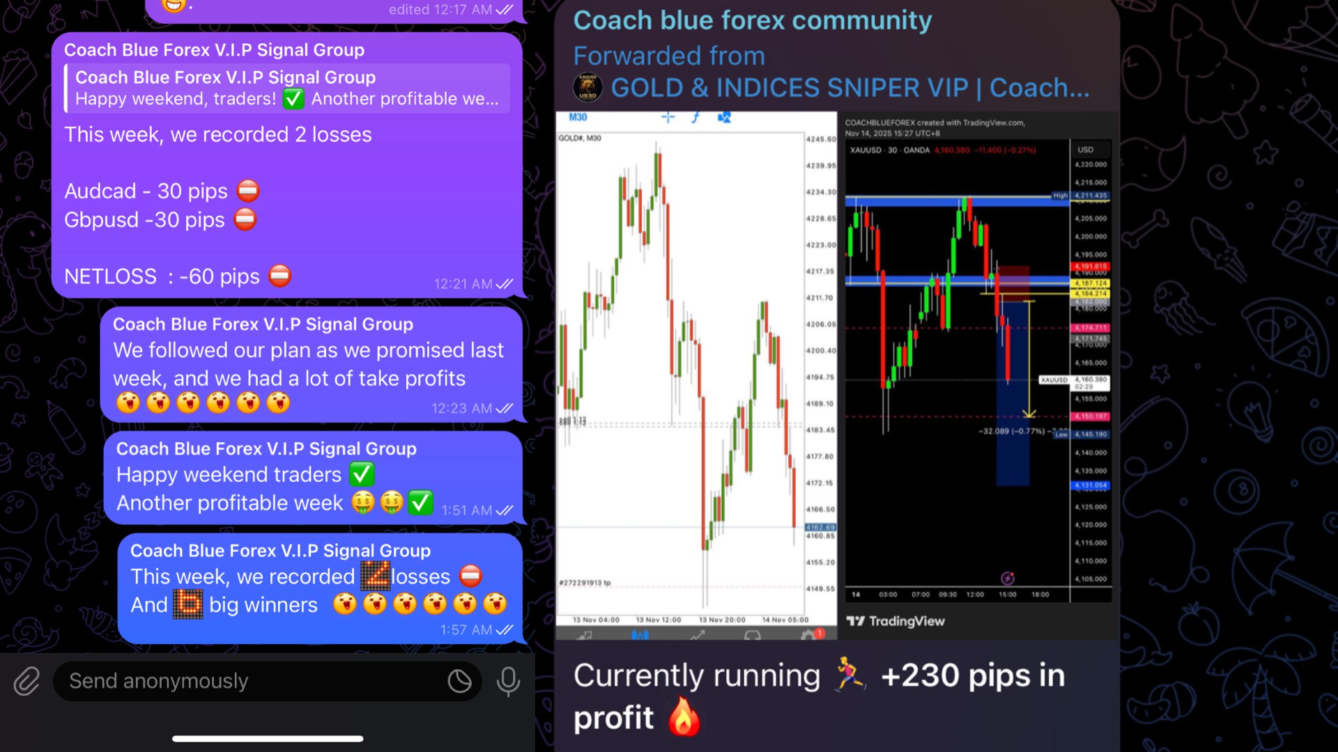 Copy trading with coach blue forex