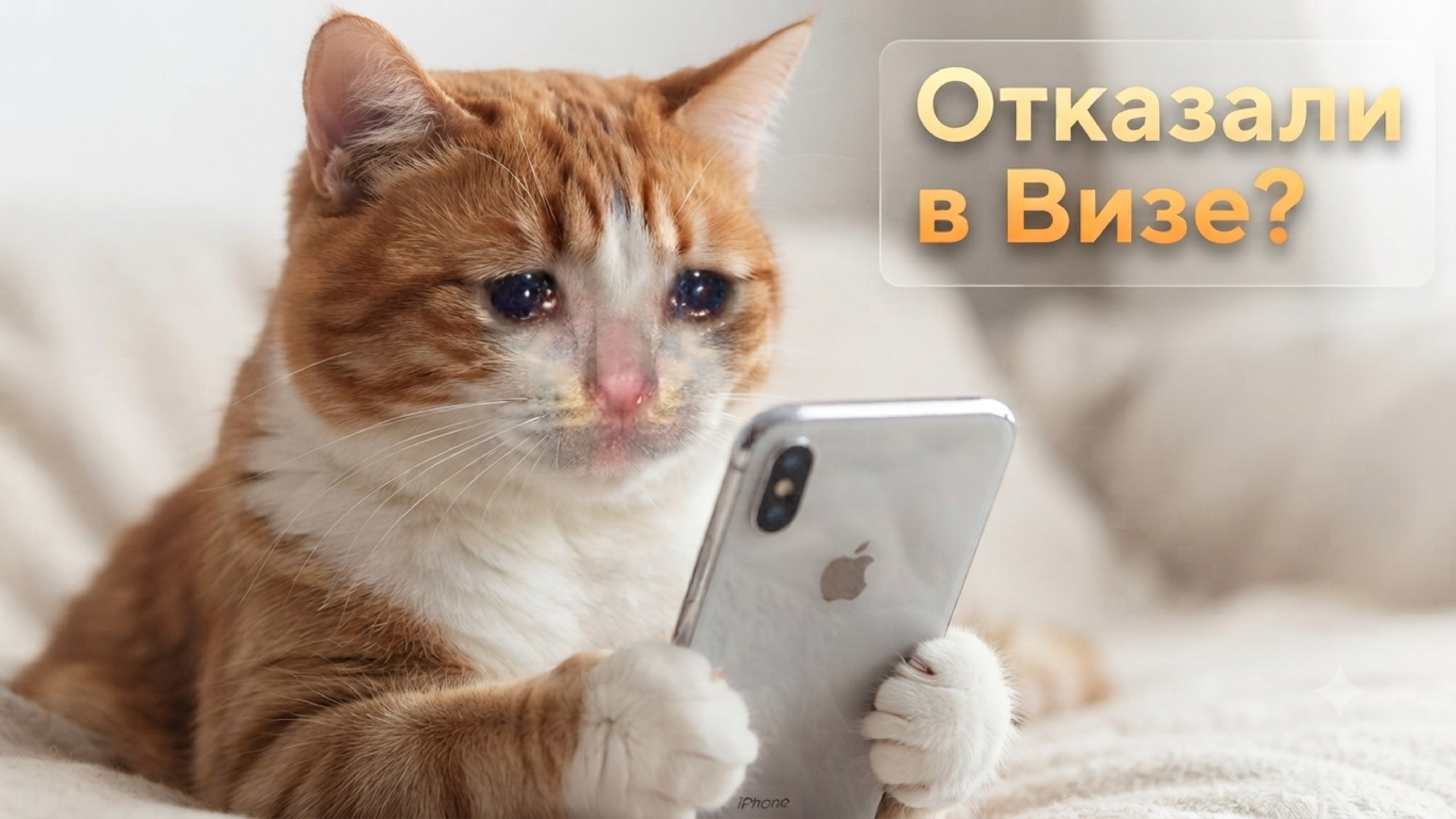 Визовый центр Без границ