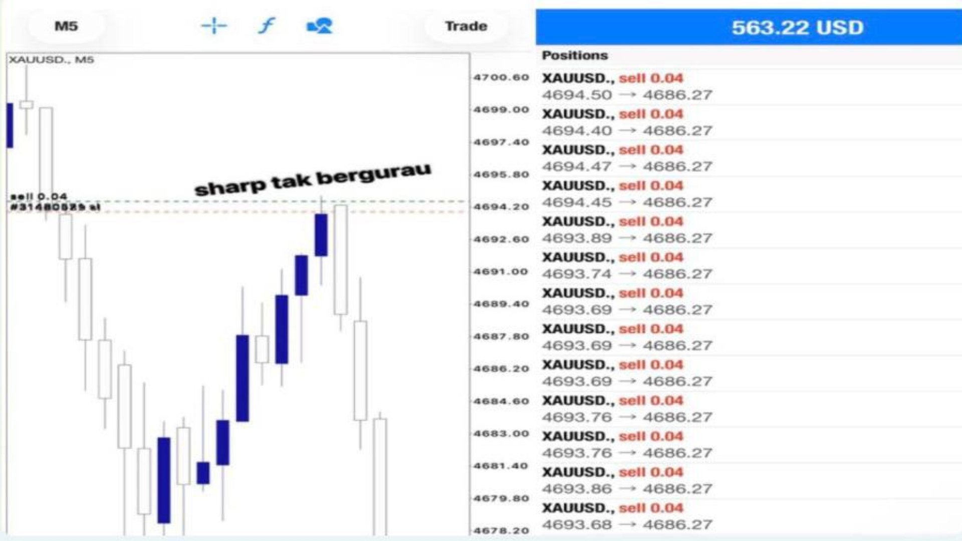 Along Gold Scalper