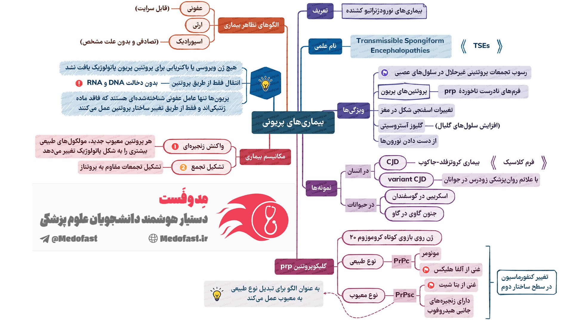علوم پایه | مدوفست
