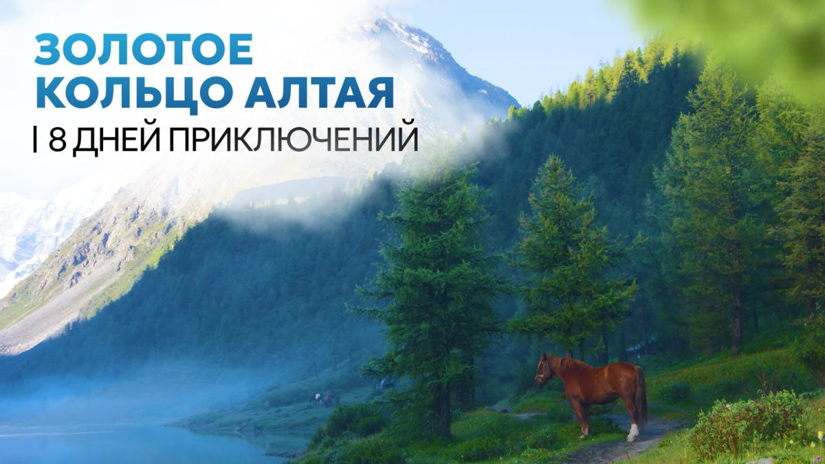 АЛТАЙ | ТУРЫ НА АЛТАЙ | ПУТЕШЕСТВИЯ