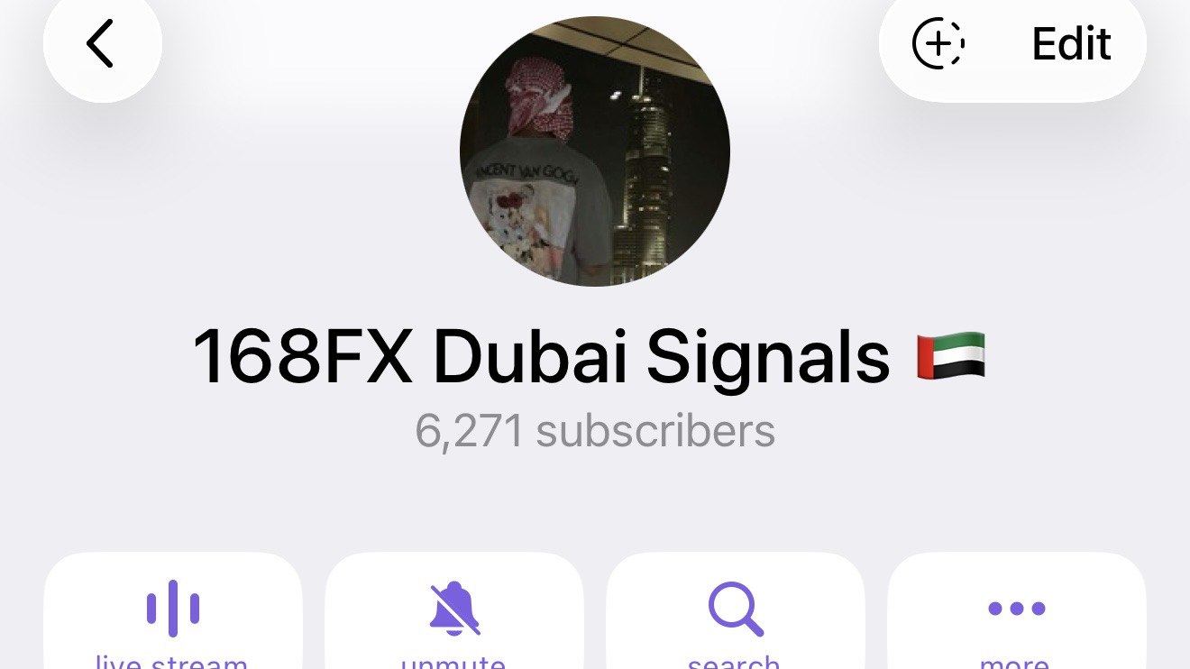 168FX Dubai Signals 🇦🇪