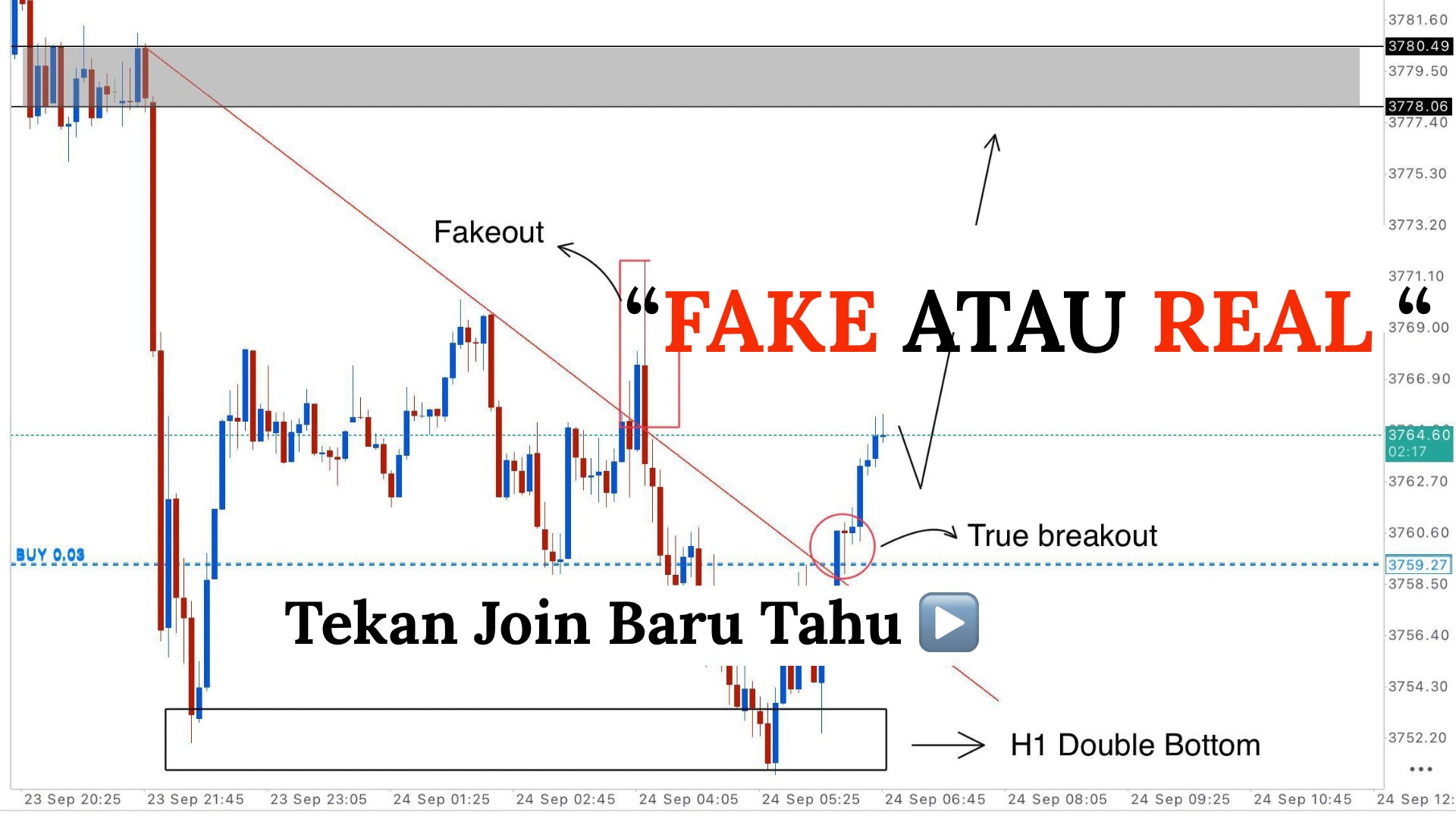 Along Gold Scalper