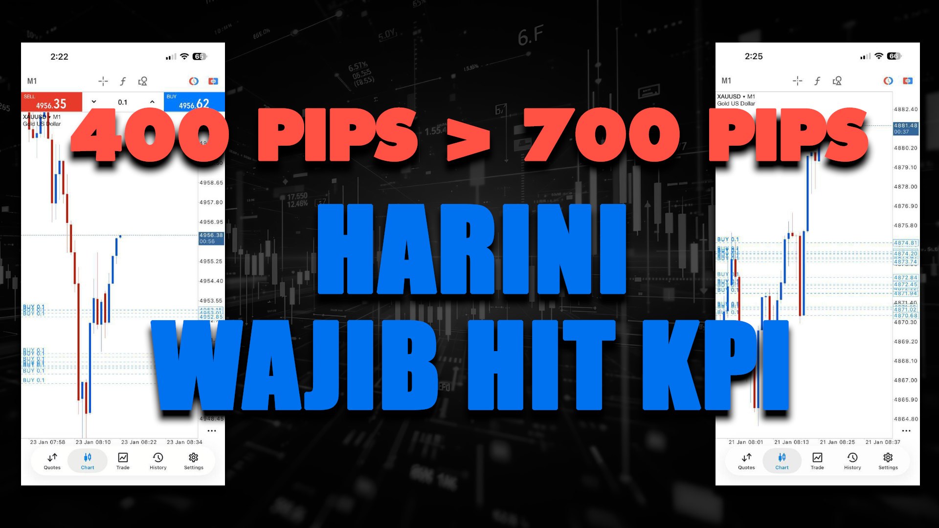 KILLERPIPS SCALPING ANEP