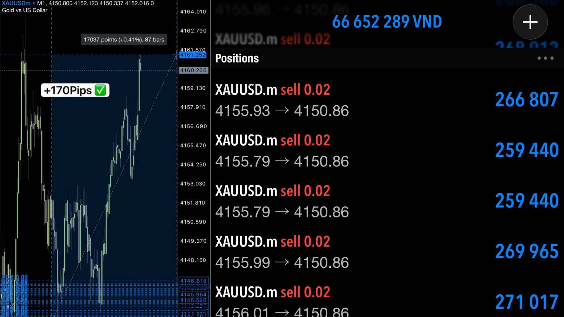 Gold Scalping 🇻🇳